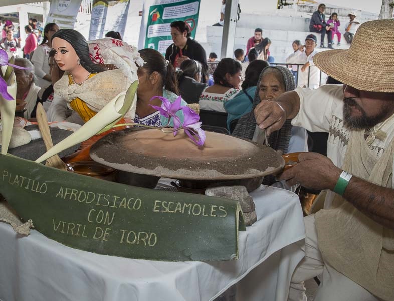Feria de Zimapán