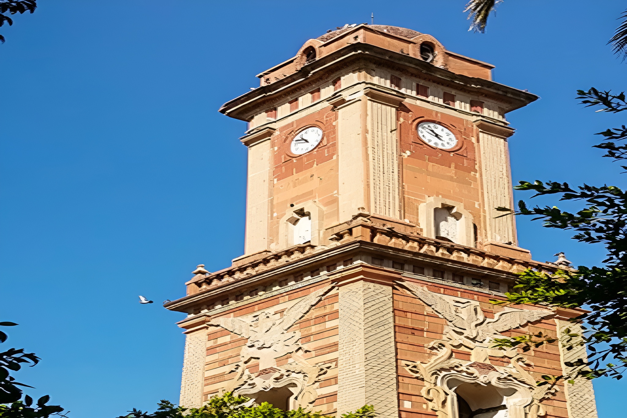 Parque Nacional El Chico