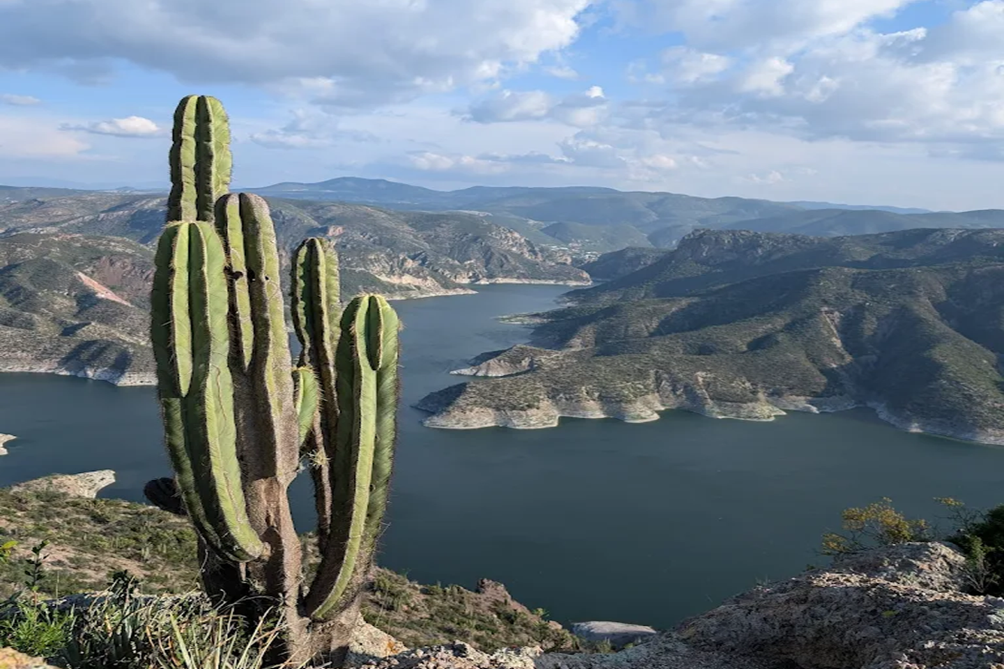Parque Nacional El Chico